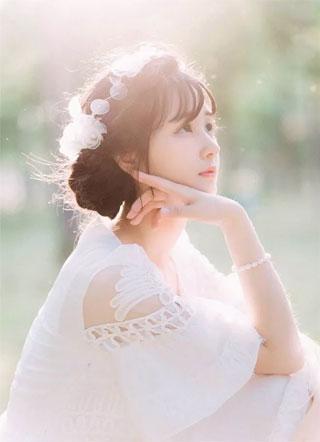 春树暮云是什么动物