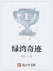 绿湾网络
