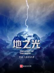 地之光石油中标项目详情