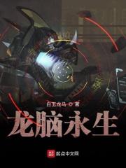 龙脑多少钱一盒
