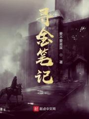 寻金探宝