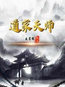 道家天师308集免费观看