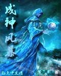 成神风暴校对版