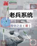老兵idc