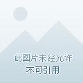 华丽逆袭笔趣阁最新