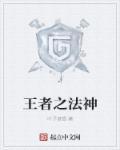 王者荣耀法师之王