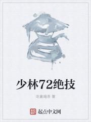 少林72绝技电视剧