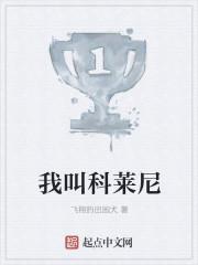 尼科莱咨询