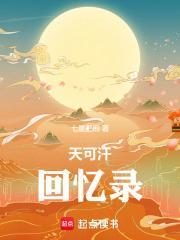天可汗回忆录1-374 作者七星肥熊 TXT