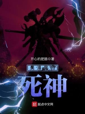 有个死神的美国动画