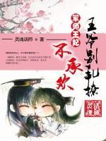 王爷的军医王妃