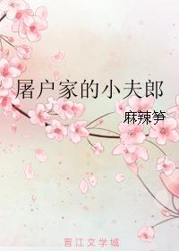 屠户家的小夫郎郑云