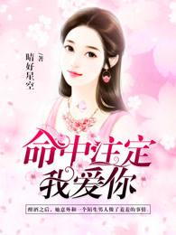 命中注定我爱你歌曲