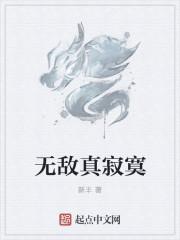 无敌真寂寞2