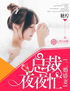 总裁夜宠二嫁妻