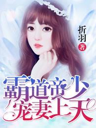 霸道总帝少宠妻上天