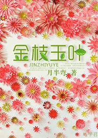 金枝玉叶叶子发皱又软