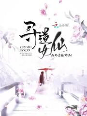 寻道士是什么意思