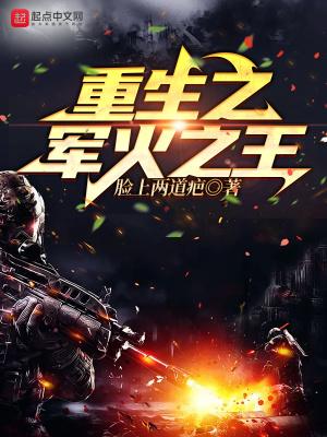 重生之军火大亨